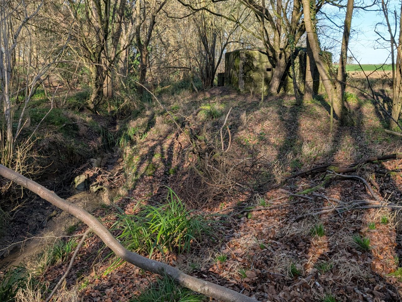 2026-03-02 42 Lavenham and Long Melford.jpg