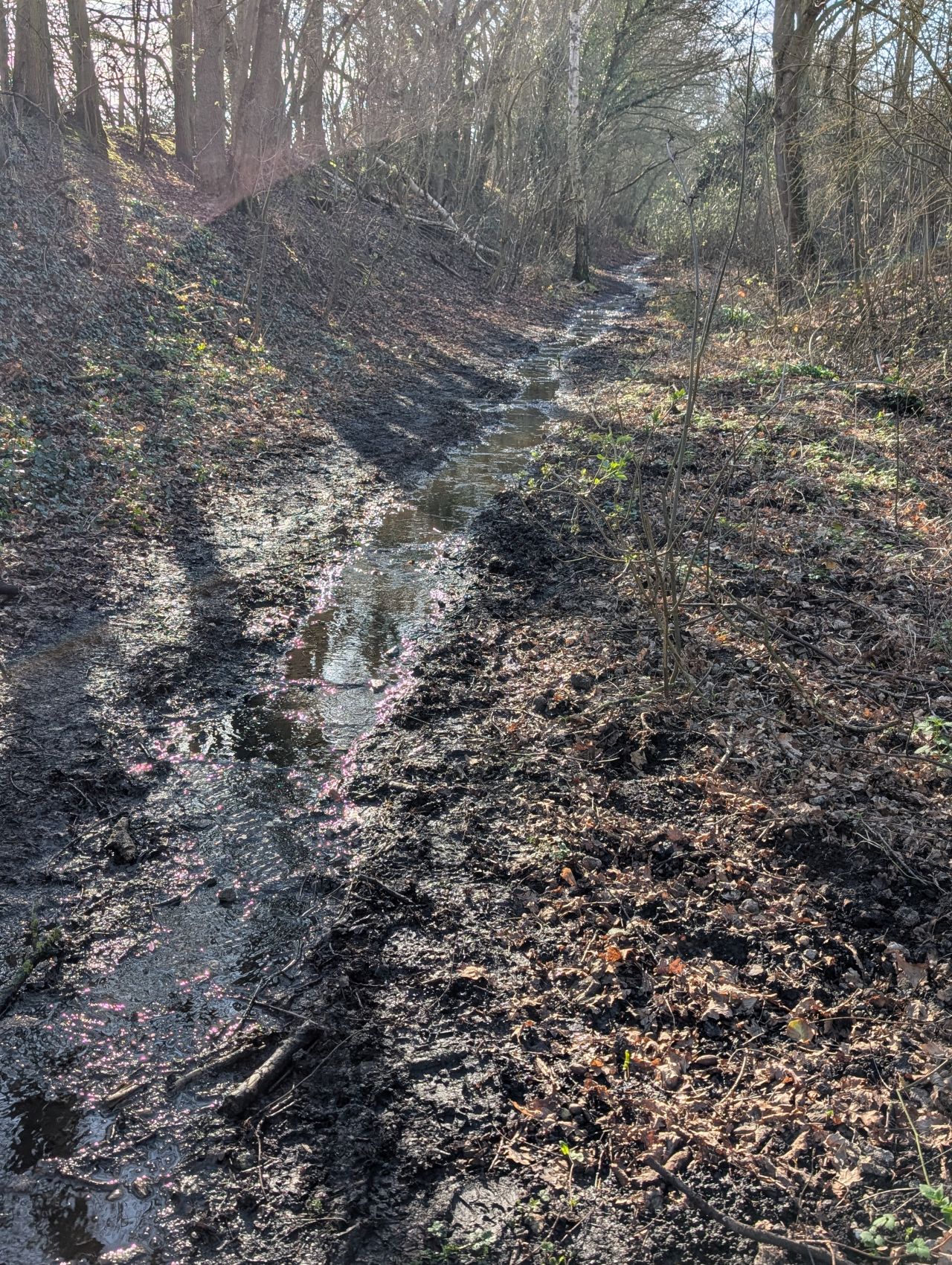 2026-03-02 43 Lavenham and Long Melford.jpg
