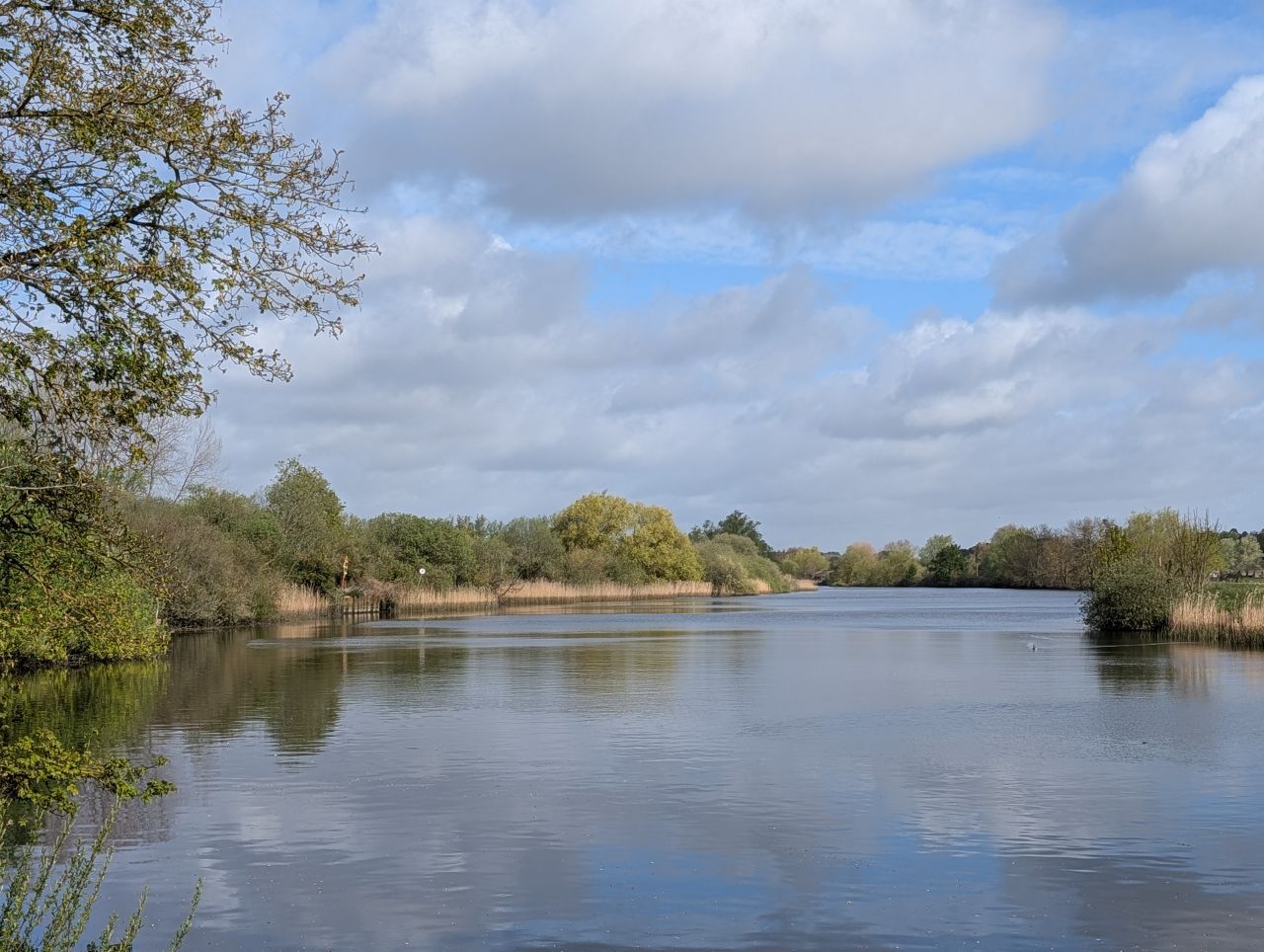 2026-04-16 09 Woods End and Surlingham.jpg