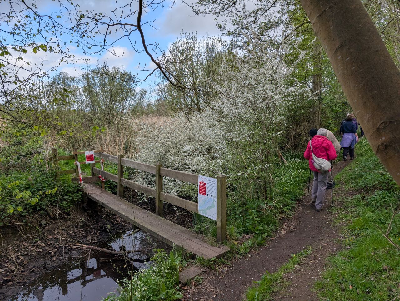 2026-04-16 14 Woods End and Surlingham.jpg