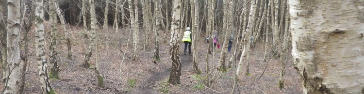 Tunstall Forest and Viking Trail