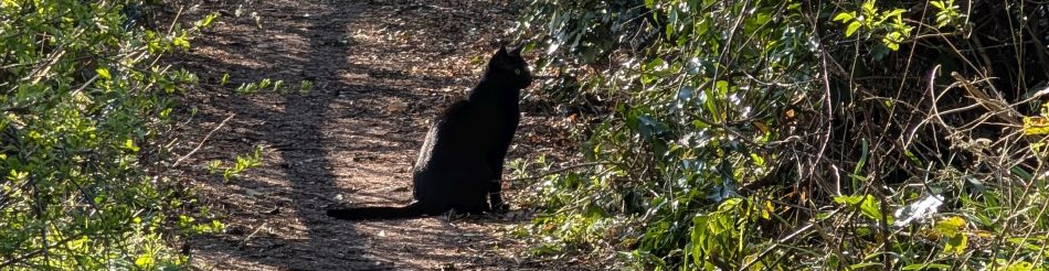 Boxford and Hadleigh Heath